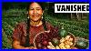 30 Forgotten Vegetables Native Americans Grew That Need To Come Back