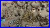 75 Pieces Of Sterling Silver Jewelry Israel Roman Glass Tiffany U0026 Co Native American