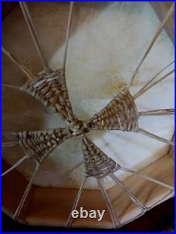 Awesome Vintage Native American Buffalo Hide Hand Drum Red Eagle 07