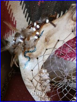 Awesome Vintage Native American Buffalo Jaw Bone Dreamcatcher One Of A Ki Nd Awesome Vintage Native American Buffalo Jaw Bone Dreamcatcher One Of A Ki Nd