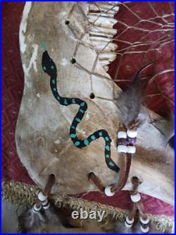 Awesome Vintage Native American Buffalo Jaw Bone Dreamcatcher One Of A Ki Nd Awesome Vintage Native American Buffalo Jaw Bone Dreamcatcher One Of A Ki Nd