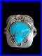 Large Vintage Sterling Signed Native American Turquoise Cuff