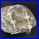 Palm Tree Old Pawn Sterling Silver Link Bracelet 7 18130