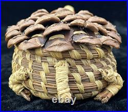 RARE! Vintage Coushatta Turtle Effigy Pine Needle & Cone Basket Native American