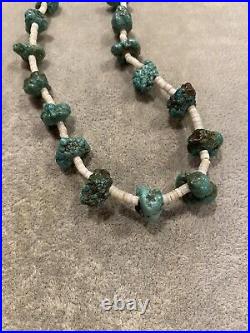 VINTAGE SANTO DOMINGO TURQUOISE and HEISHI NECKLACE