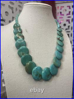 VTG Santo Domingo TURQUOISE HESHI 20L Necklace READ Native American