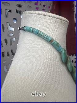 VTG Santo Domingo TURQUOISE HESHI 20L Necklace READ Native American