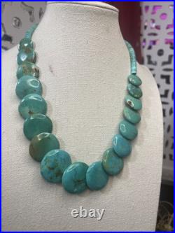 VTG Santo Domingo TURQUOISE HESHI 20L Necklace READ Native American