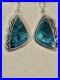 VTG Sterling Silver Native American Navajo Malachite Chrysocolla Earrings