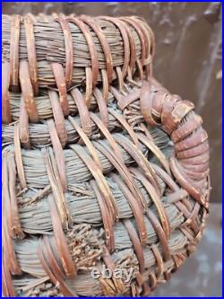 Vintage Native American Coil Reed basket Vase Jug Four Handles Must See 13