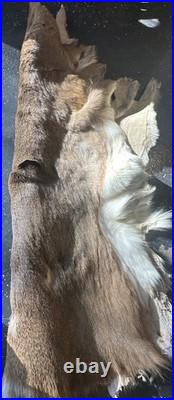 Vintage Native American Made Indian Deer Hyde With Design Beautiful