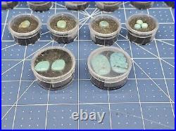 Vintage Native American Mixed Turquoise Cabochons Lot FREE USA SHIPPING