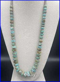 Vintage Native American Santo Domingo Natural Turquoise Heishi Necklace 30