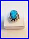 Vintage Native American Sterling Turquoise Carved Frog Ring Signed Size 7.5