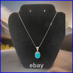 Vintage Navajo Sterling Silver Natural Blue Turquoise Oval Pendant Necklace 18 Vintage Navajo Sterling Silver Natural Blue Turquoise Oval Pendant Necklace 18
