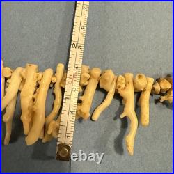 Vintage white coral navajo necklace